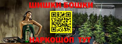 mdpv Брянск