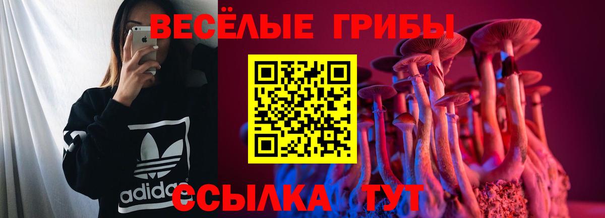 Псилоцибиновые грибы MAGIC MUSHROOMS  Вход с VPN  Евпатория 